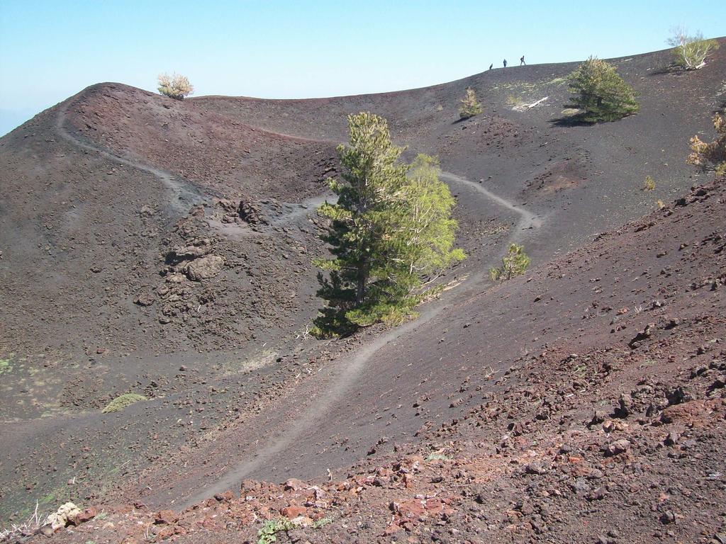 Cartoline Dall'Etna B&B Zafferana Etnea Buitenkant foto